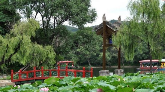 旅游景点