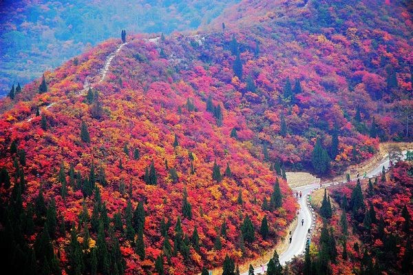 河南旅游郑州周边赏秋最佳地儿-长寿山